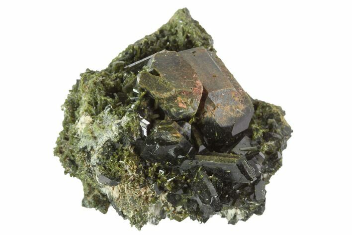 Epidote Crystal Cluster on Actinolite - Pakistan #91968
